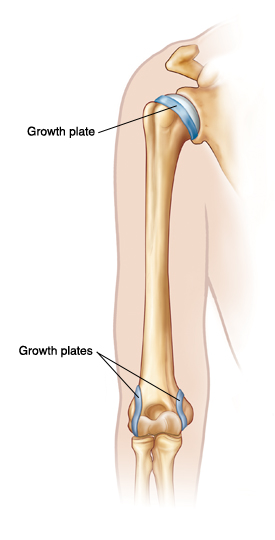 growth-plate-1