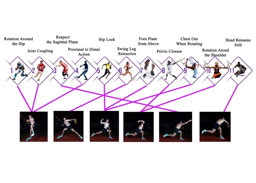 2.8 Attractors Linked to Pitching@2x